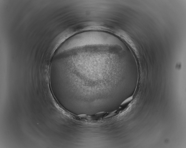 X0000097831049200803281156