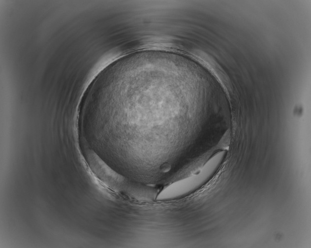 X0000097831050200803281156