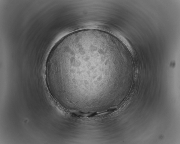 X0000097831051200803281156