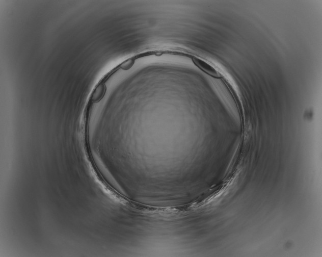 X0000097831053200803281156