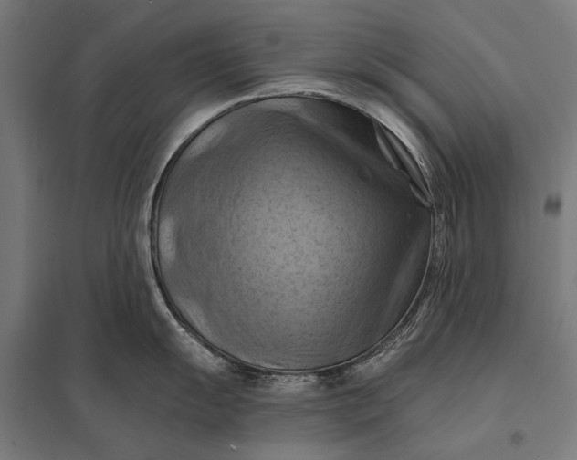 X0000097831055200803281156