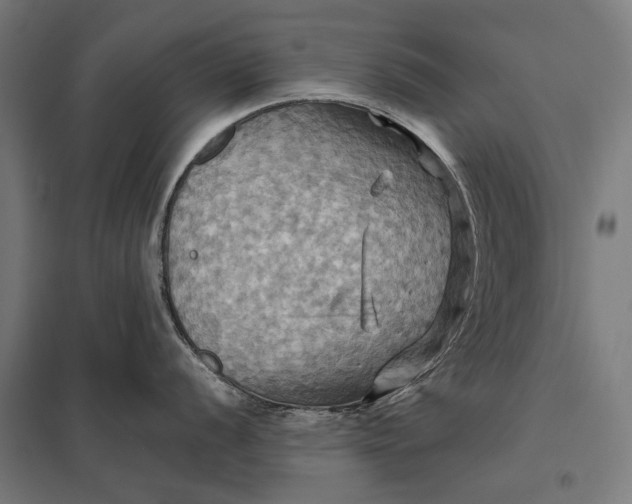 X0000097831056200803281156