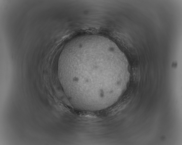 X0000097831057200803281155