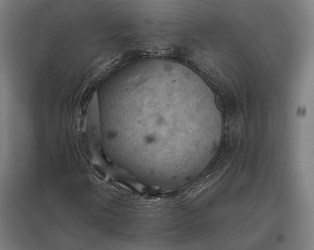 X0000097831058200803281155