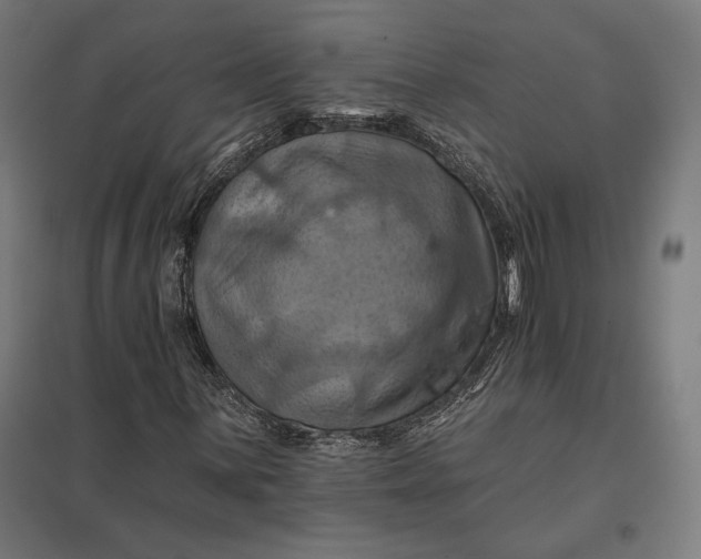 X0000097831059200803281155