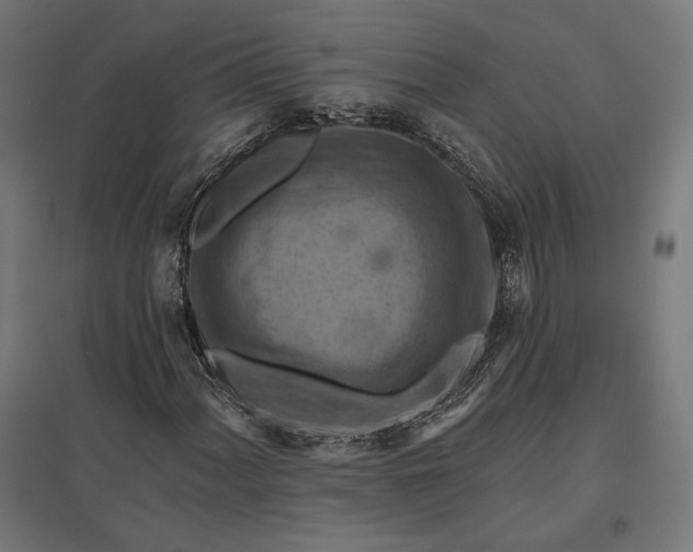 X0000097831060200803281155