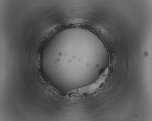 X0000097831062200803281155