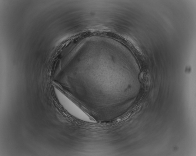 X0000097831063200803281155