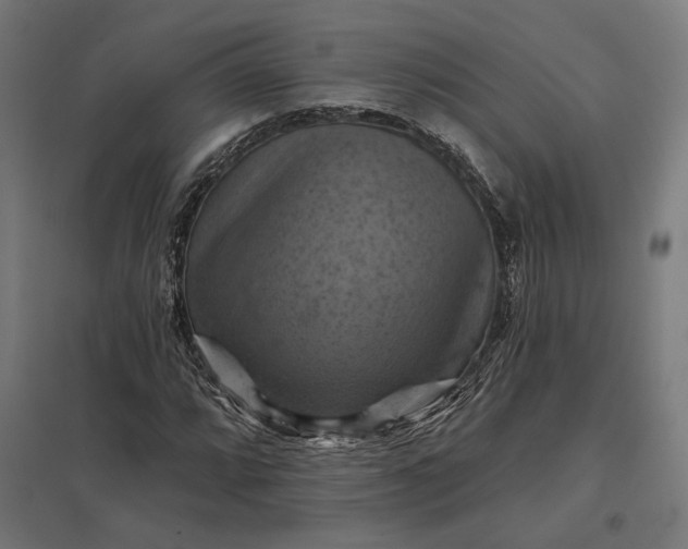 X0000097831064200803281155