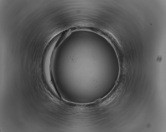 X0000097831065200803281155