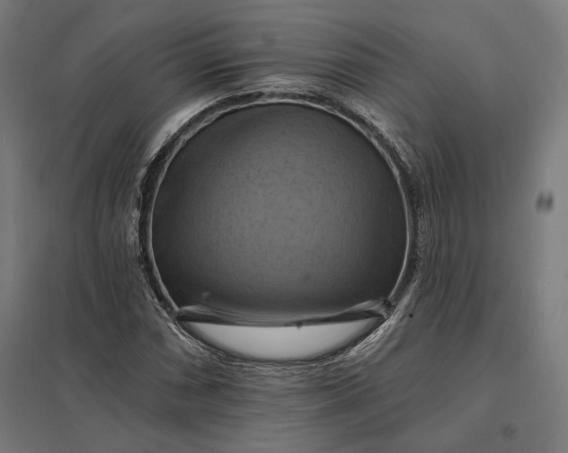 X0000097831066200803281155