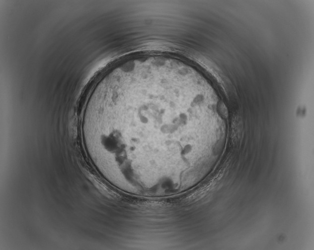 X0000097831067200803281155