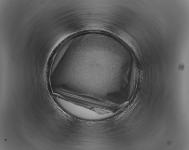 X0000097831068200803281155