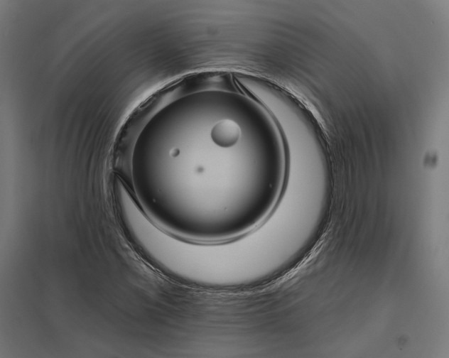 X0000097831069200803281155