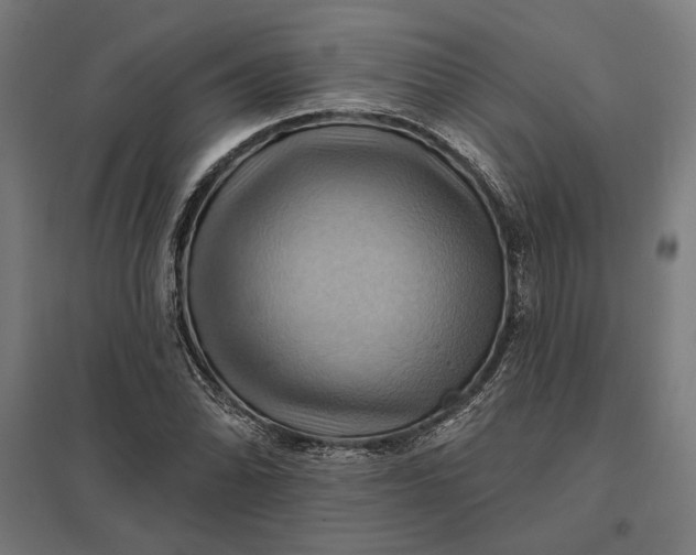 X0000097831070200803281155