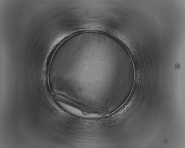 X0000097831071200803281155