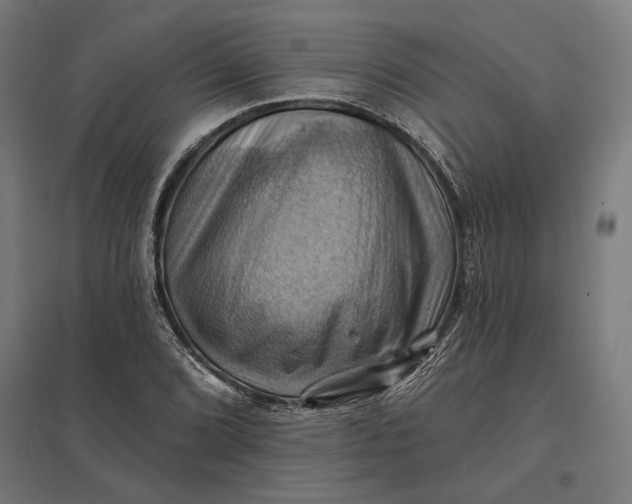 X0000097831072200803281155