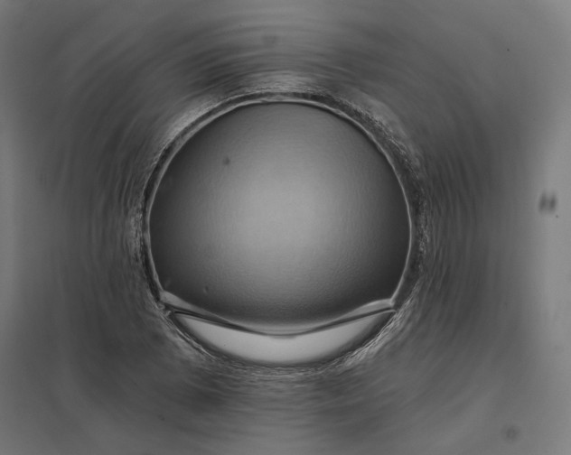 X0000097831073200803281155