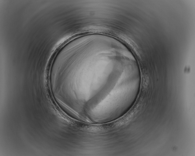 X0000097831074200803281155