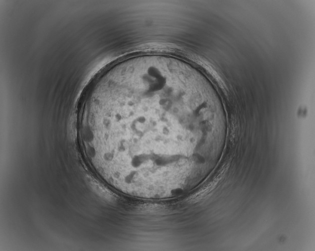 X0000097831075200803281155