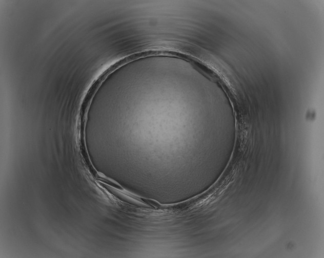 X0000097831076200803281155