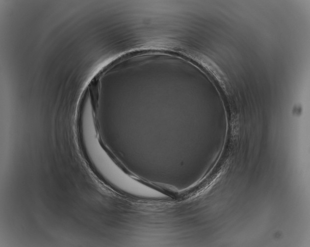 X0000097831077200803281155