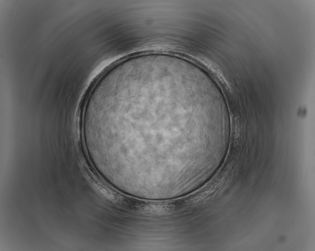 X0000097831078200803281155