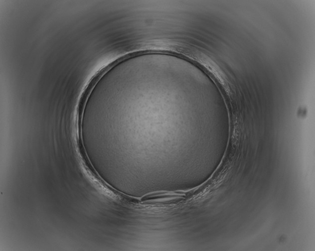 X0000097831080200803281155