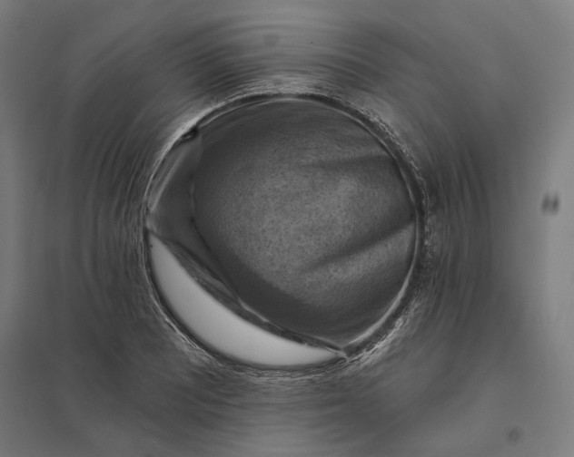 X0000097831081200803281155