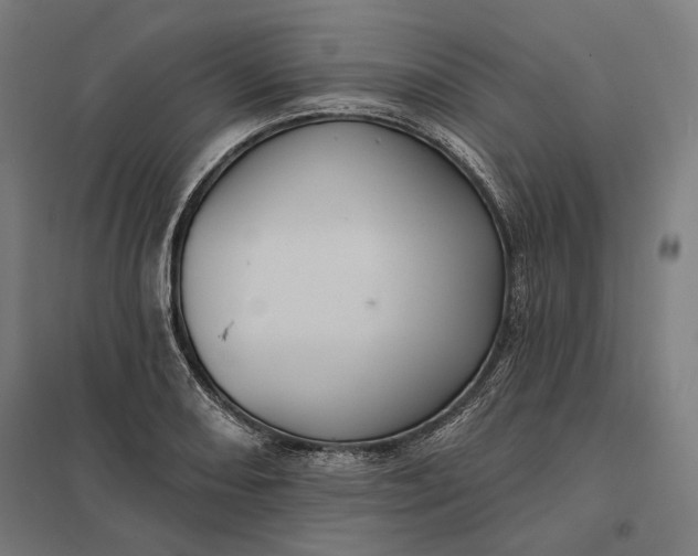 X0000097831082200803281155