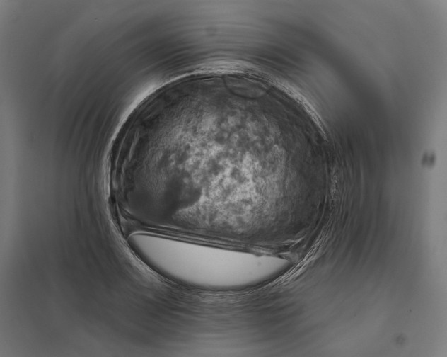 X0000097831083200803281155