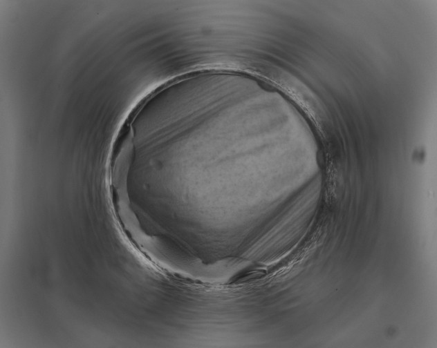 X0000097831084200803281155