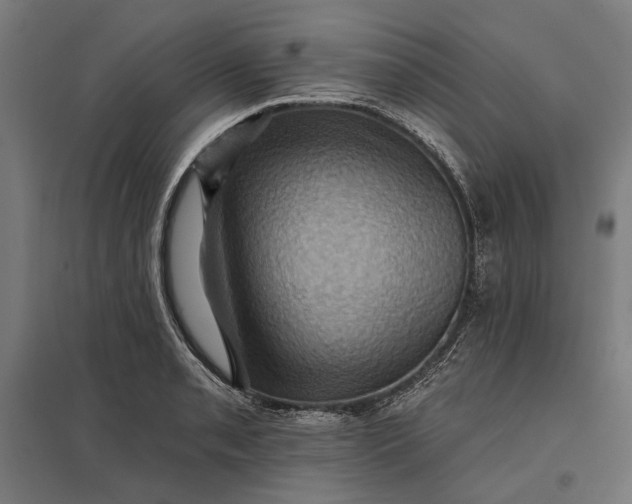 X0000097831085200803281155