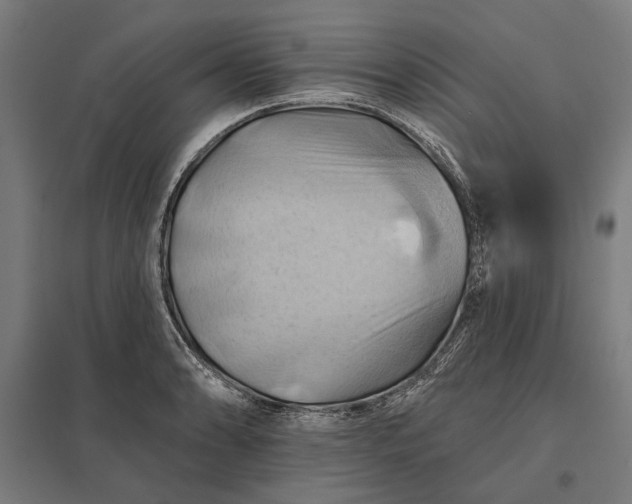 X0000097831086200803281155