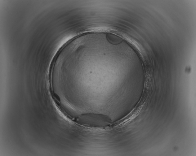 X0000097831087200803281155