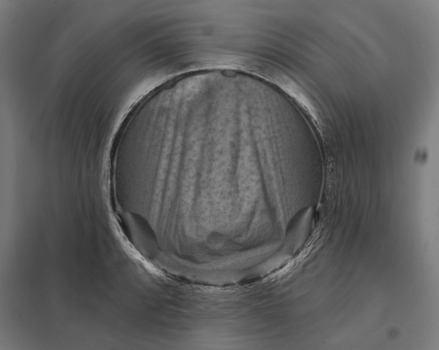 X0000097831088200803281155