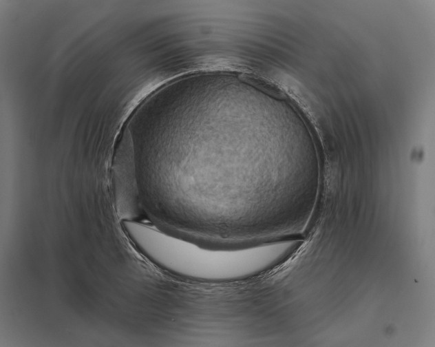 X0000097831089200803281155