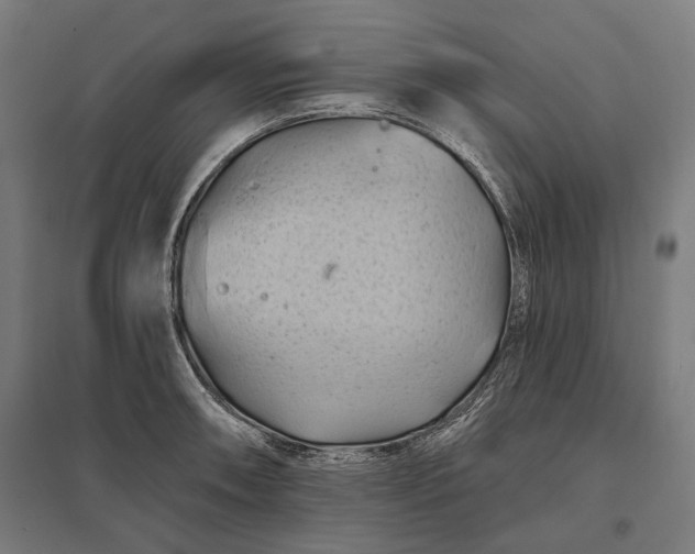 X0000097831090200803281155