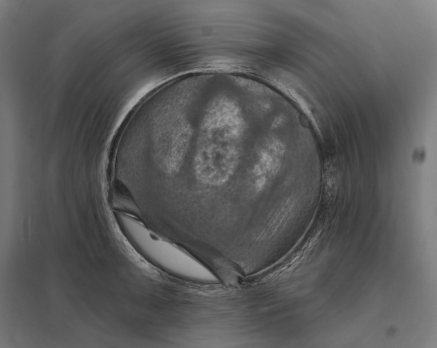 X0000097831091200803281155