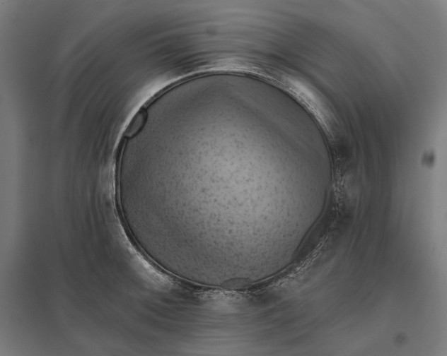 X0000097831092200803281155