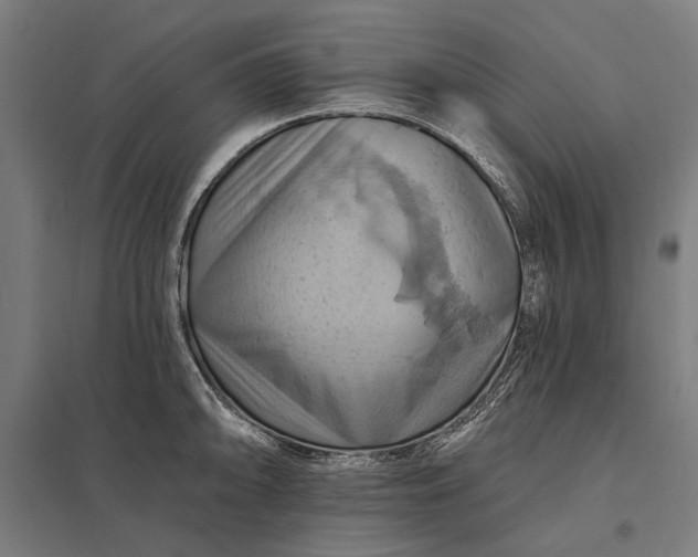 X0000097831094200803281155