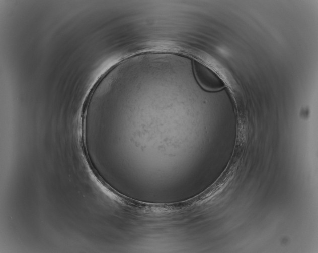 X0000097831095200803281155