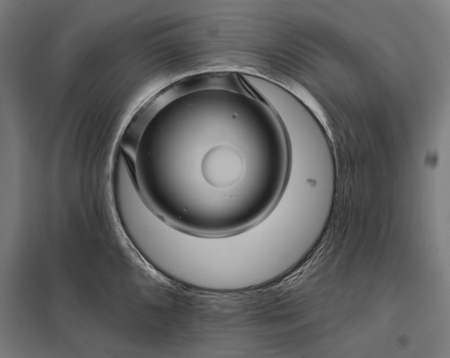 X0000097831096200803281155