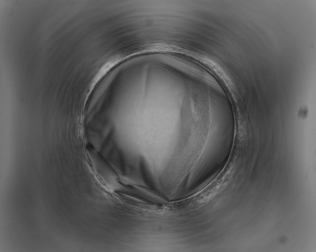 X0000097831097200803281155