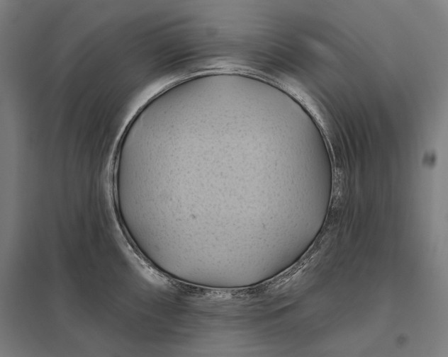 X0000097831098200803281155