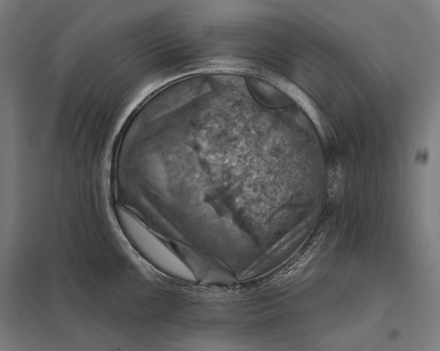 X0000097831099200803281155