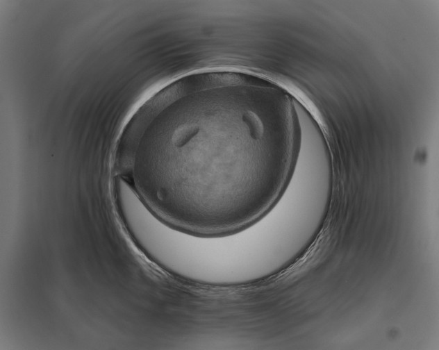 X0000097831101200803281155