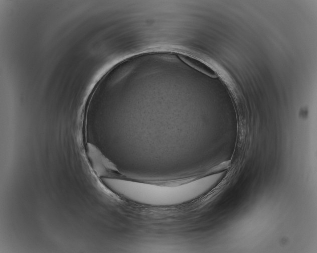 X0000097831102200803281155