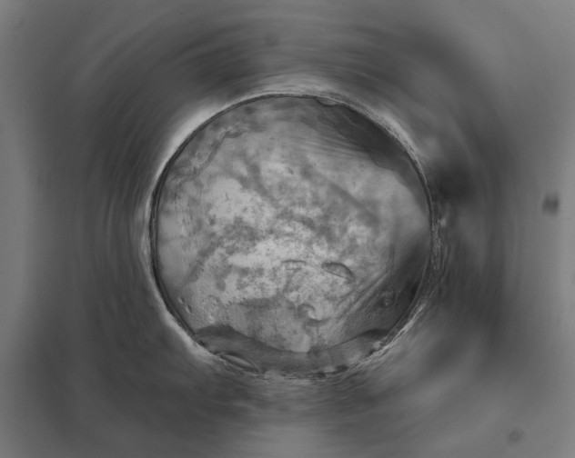 X0000097831103200803281155