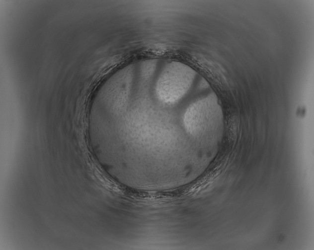 X0000097831105200803281154